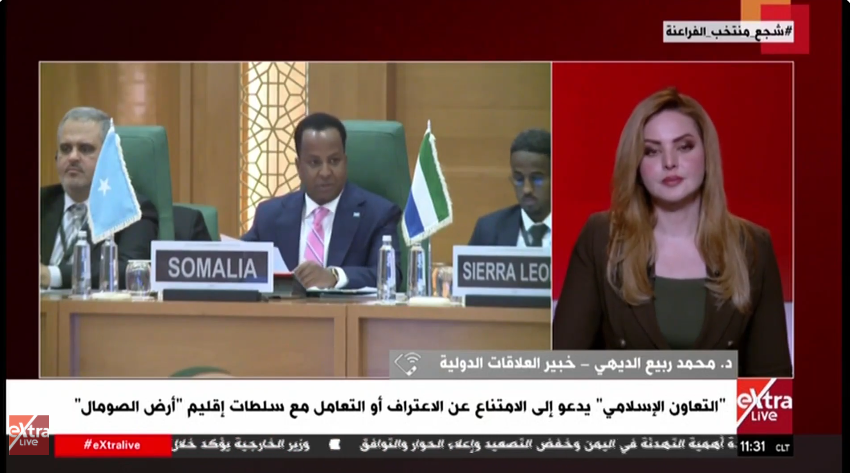 الدكتور محمد ربيع الديهي