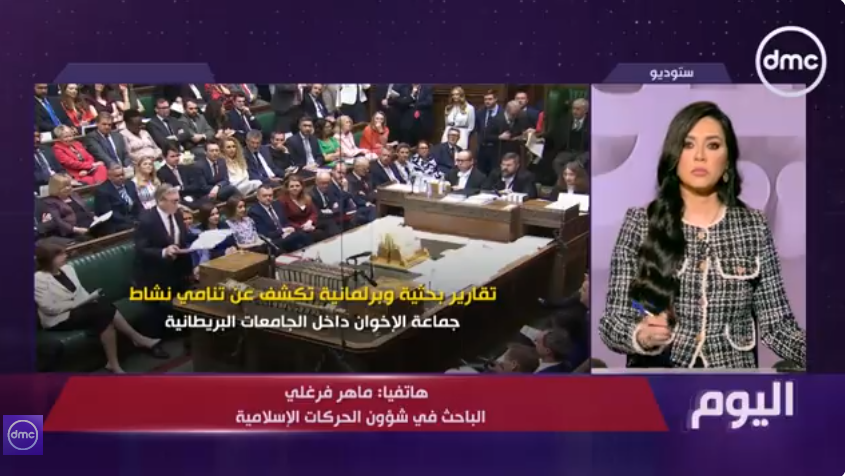 الباحث ماهر فرغلي