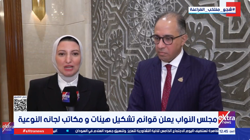 النائب أحمد سعيد شلبي