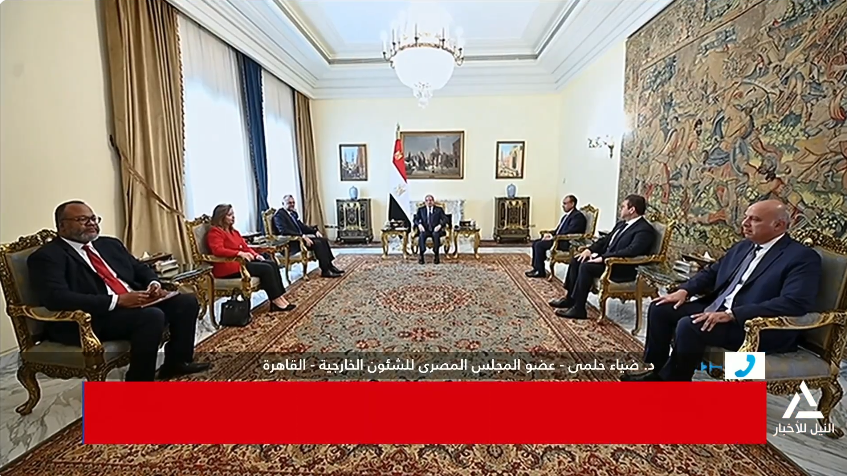 الدكتور ضياء حلمي