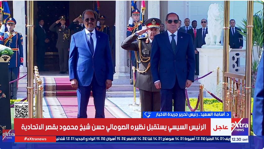 الرئيس السيسي - الرئيس الصومالي&nbsp;