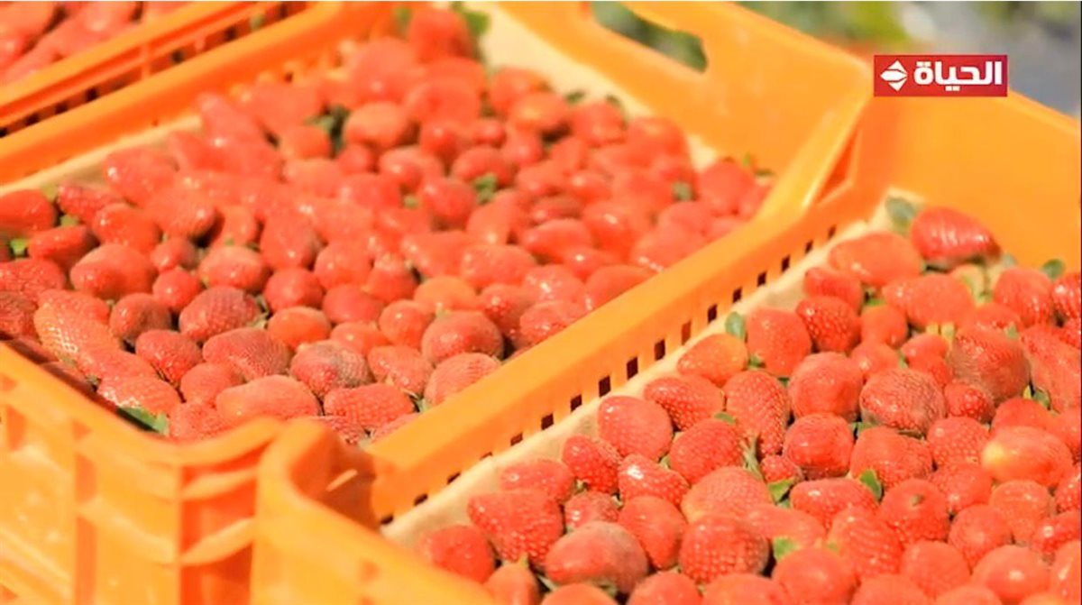 برنامج “أجمل ناس”