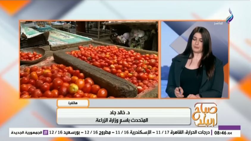 الدكتور خالد جاد