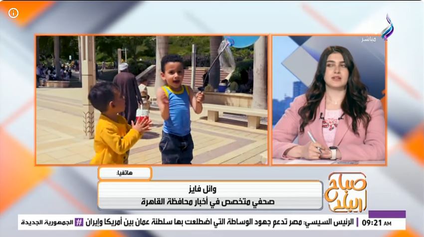 الكاتب وائل فايز