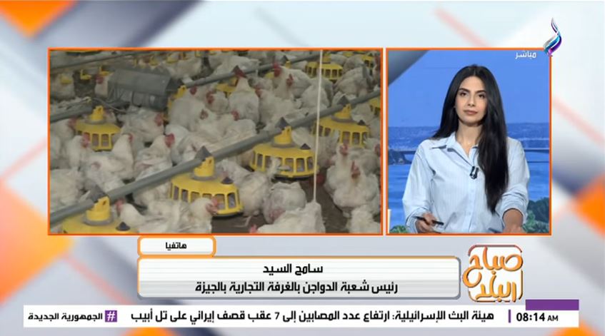 &nbsp;سامح السيد