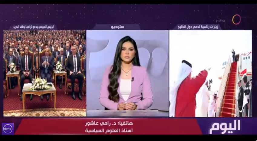 الدكتور رامي عاشور