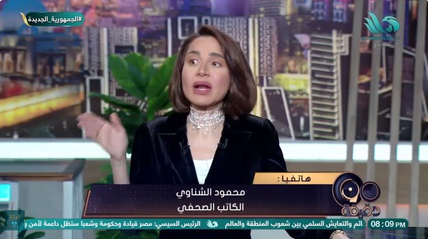 الكاتب محمود الشناوي