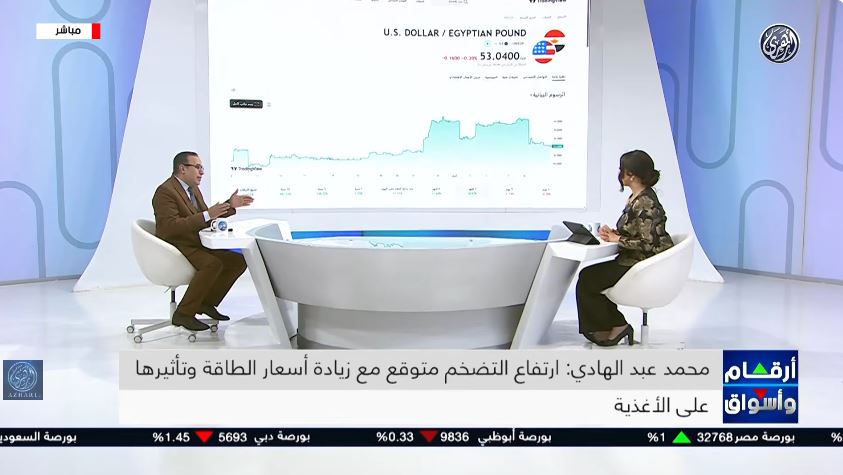 الخبير محمد عبد الهادي