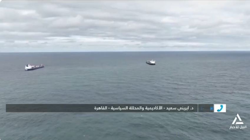 &nbsp;الدكتورة إيريني سعيد