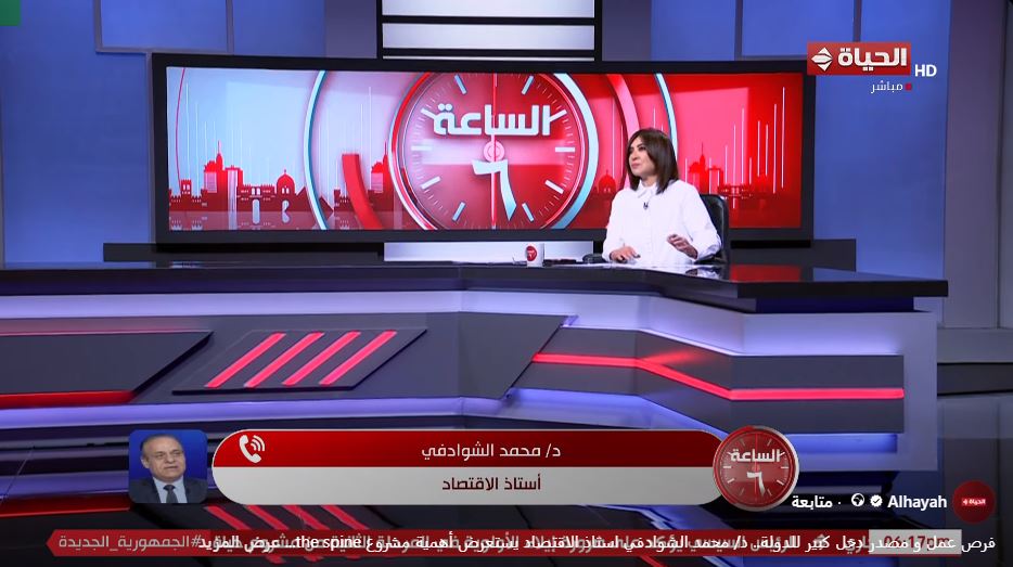 الدكتور محمد الشوادفي