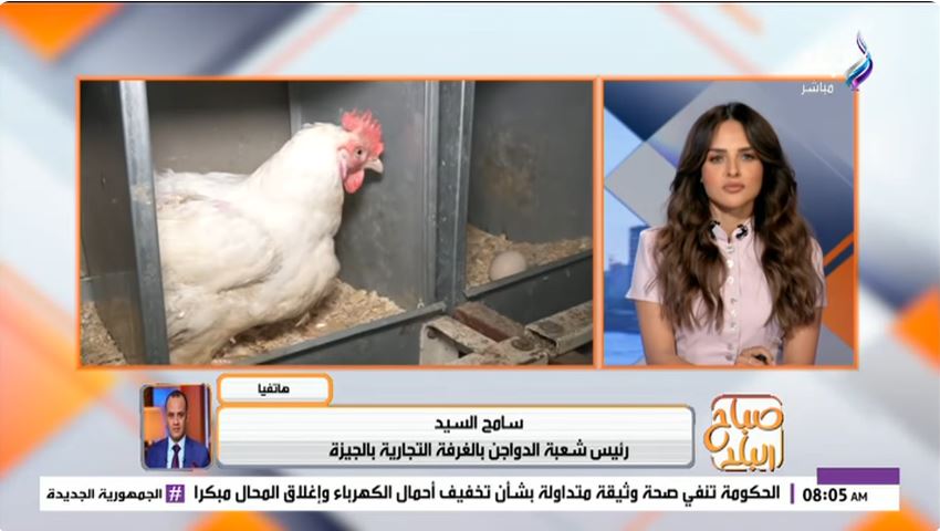 رئيس شعبة الدواجن