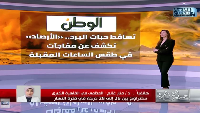 الدكتورة منار غانم