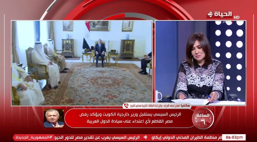 السفير محمد العرابي