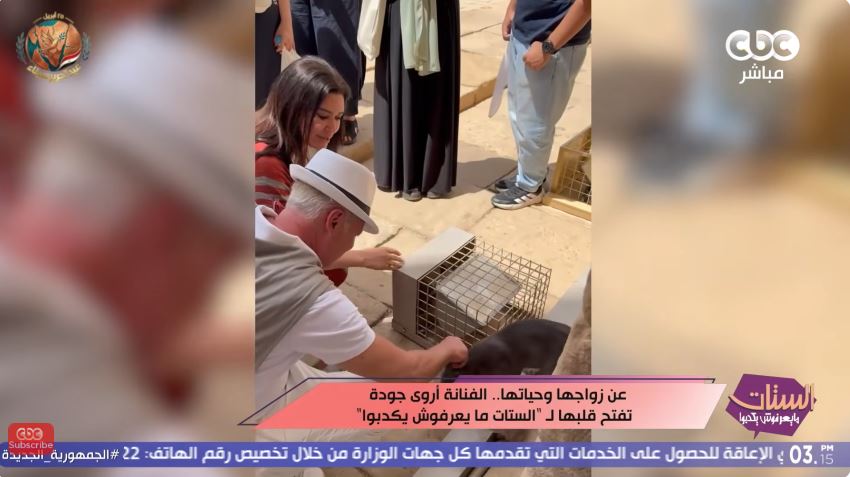 الفنانة أروى جودة