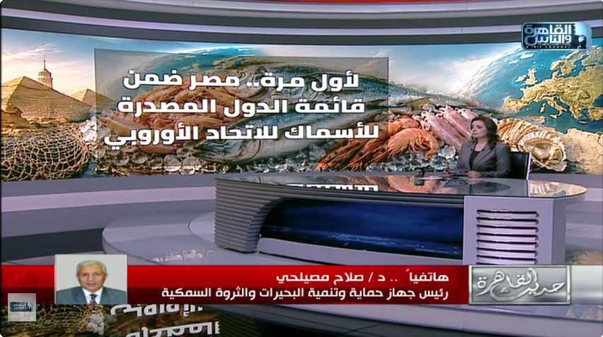 &nbsp;الدكتور صلاح مصيلحي