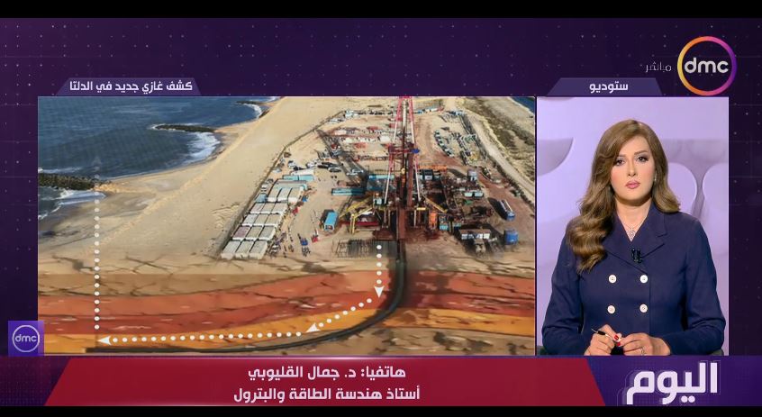 الدكتور جمال القليوبي