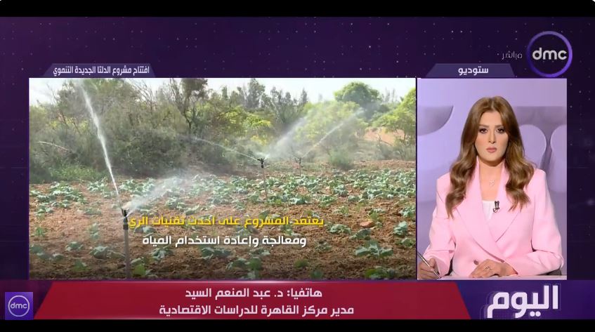 &nbsp;الدكتور عبد المنعم السيد