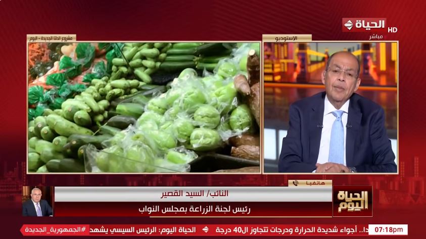 النائب السيد القصير