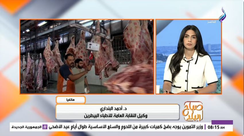 الدكتور أحمد البنداري
