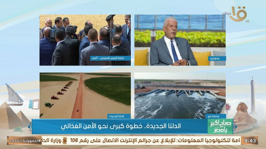الدكتور سيد خليفة