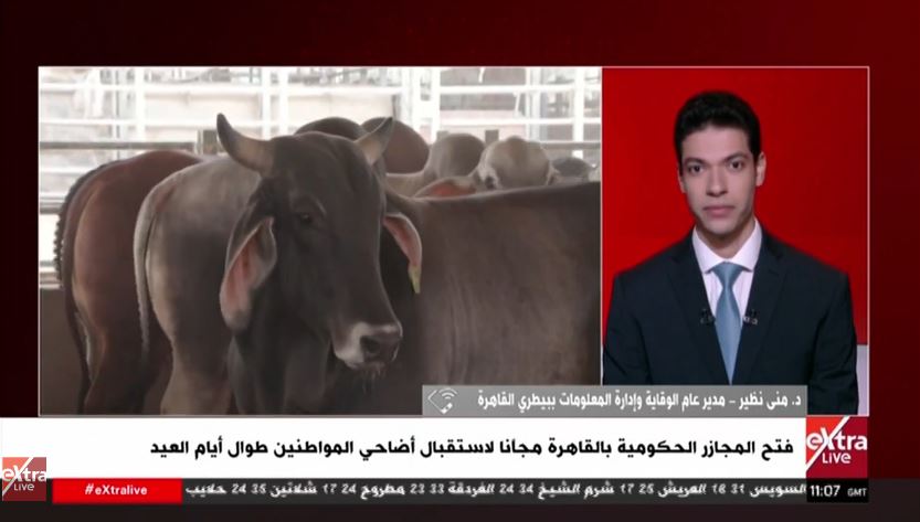 &nbsp;الدكتورة منى نظير