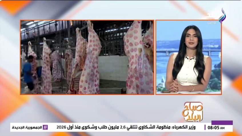 الدكتورة حنان قرني