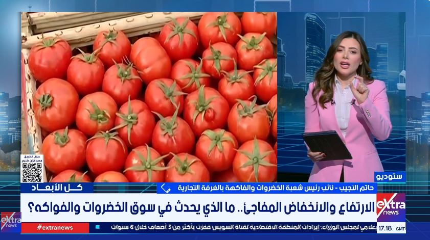 حاتم النجيب