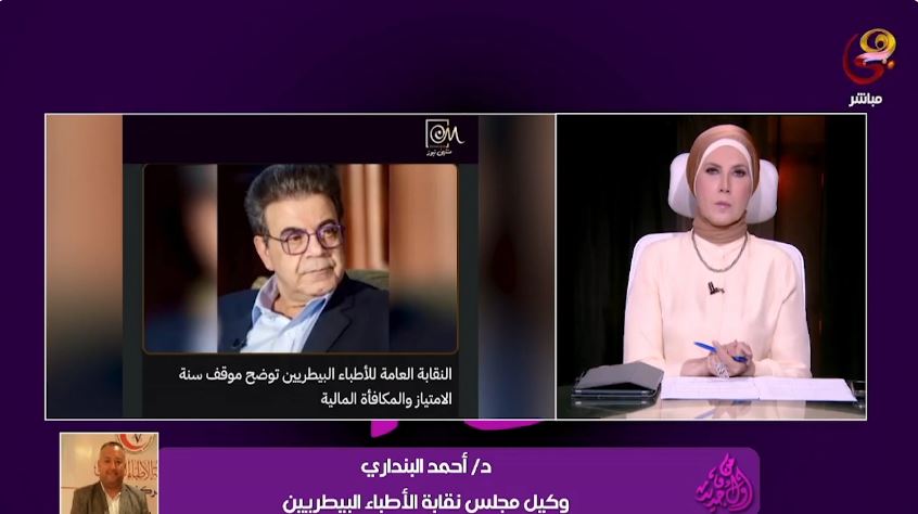 الدكتور أحمد البنداري