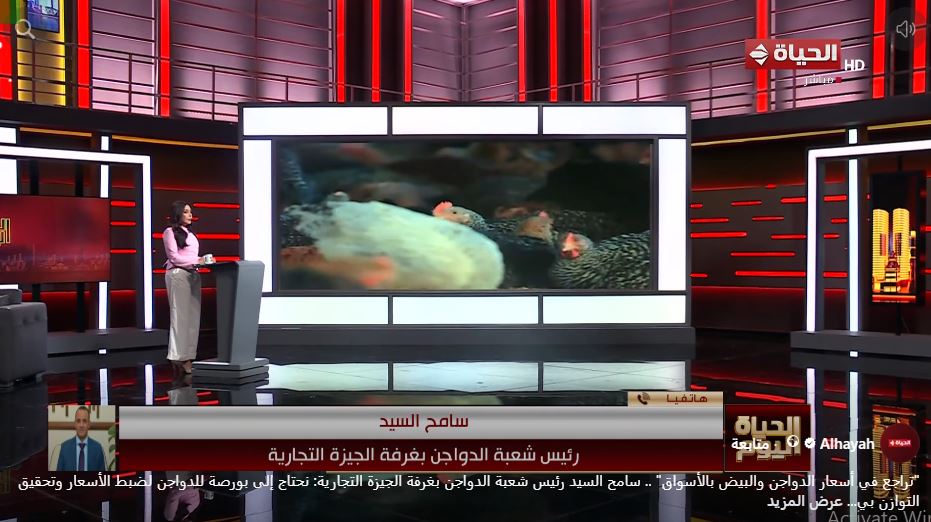 سامح السيد