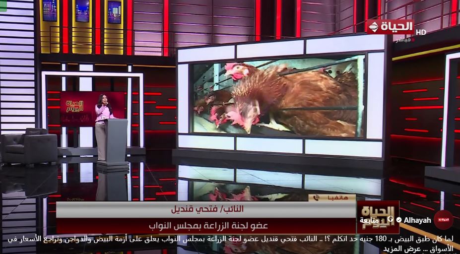النائب فتحي قنديل