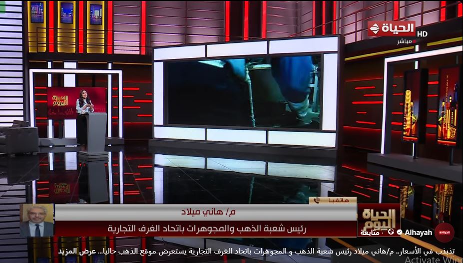 المهندس هاني ميلاد