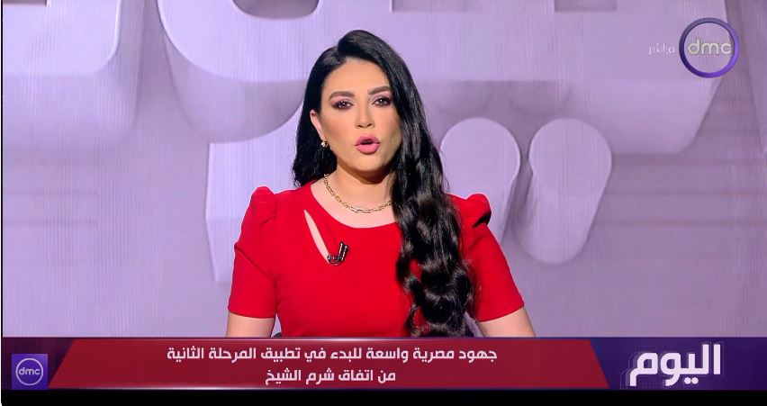 الدكتور رامي عاشور