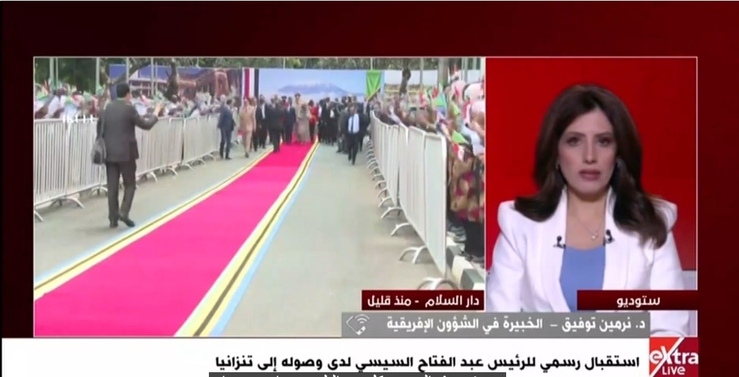الدكتورة نرمين توفيق