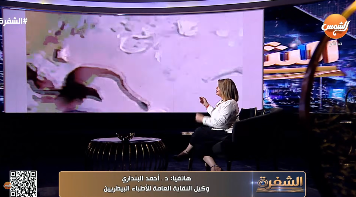 الدكتور أحمد البنداري
