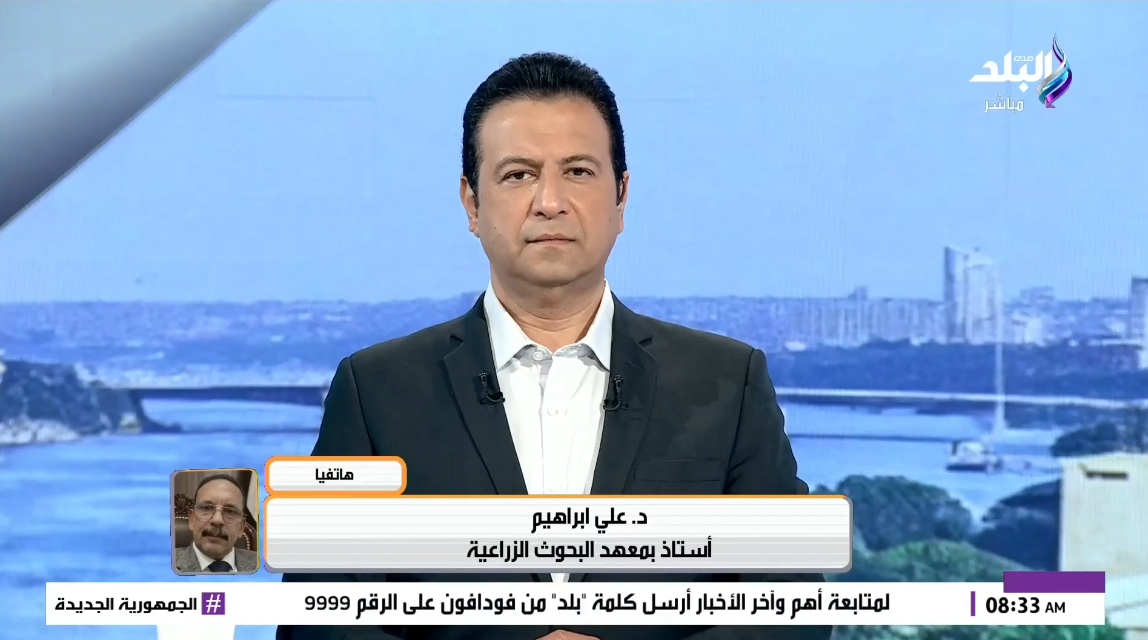 الدكتور علي إبراهيم