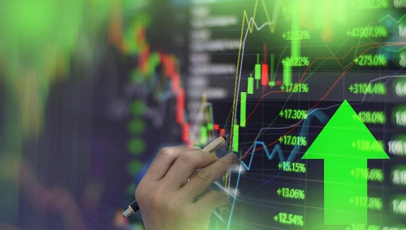 الاستثمار في البورصة المصرية