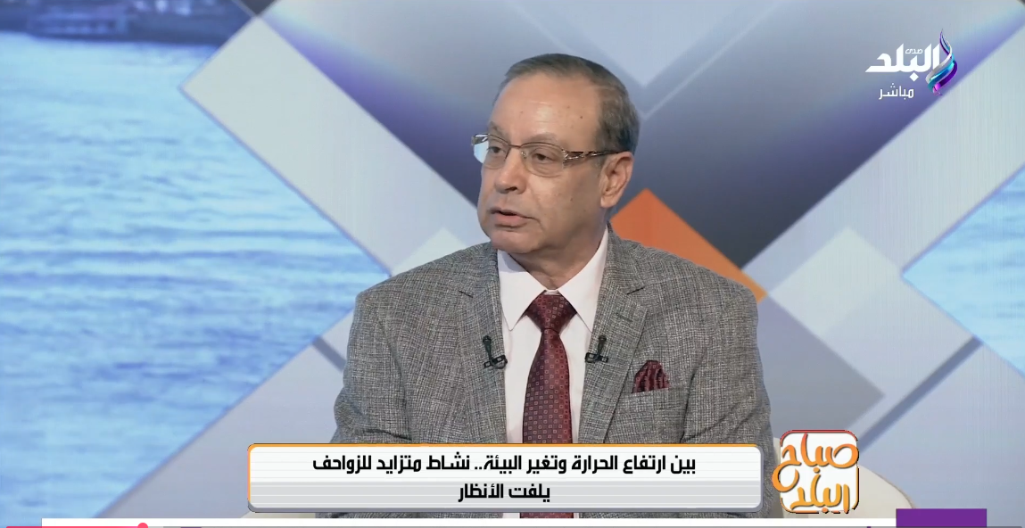 الدكتور عبد السميع سعفان