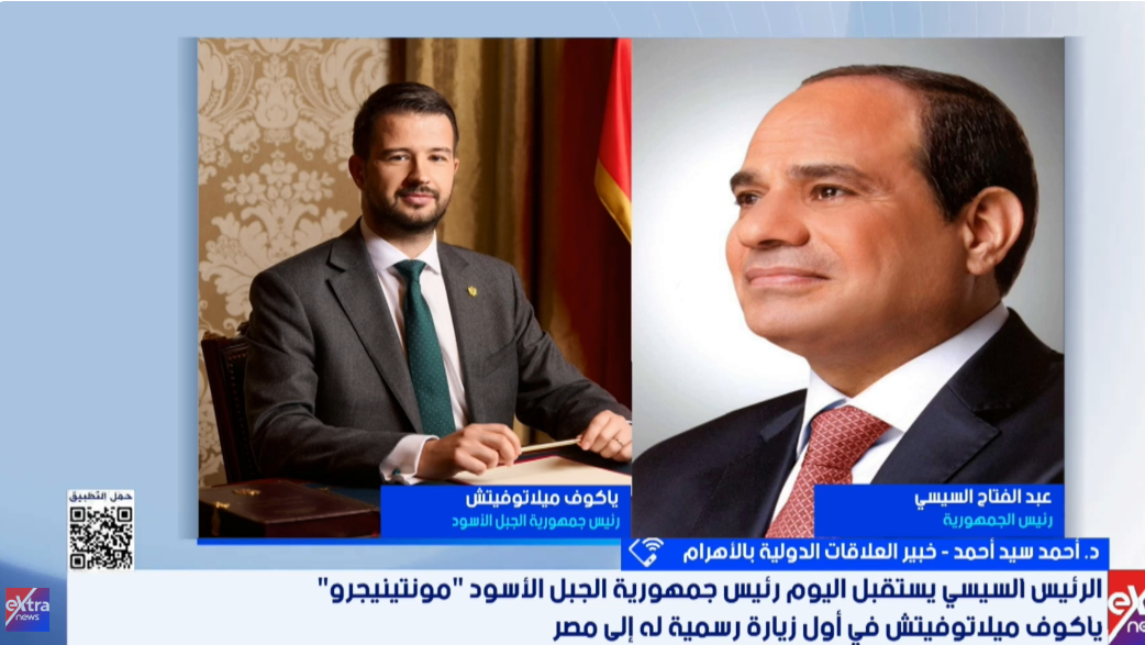 الدكتور أحمد سيد أحمد