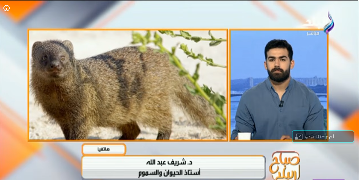 الدكتور شريف عبدالله