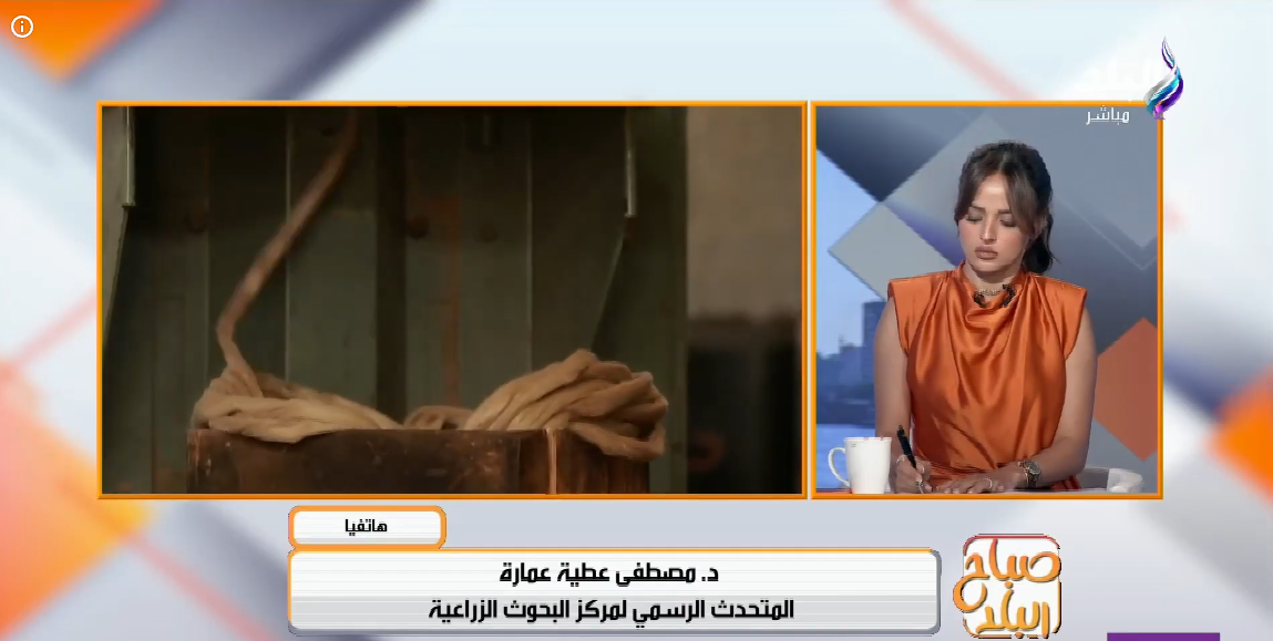 الدكتور مصطفى عطية عمارة
