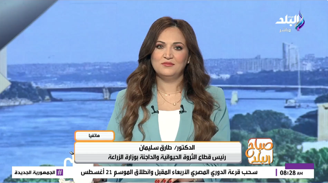 الدكتور طارق سليمان