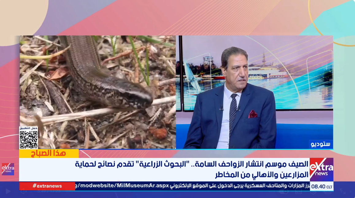 &nbsp;الدكتور مجدي ويلسون