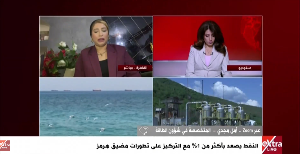 الكاتبة الصحفية أمل مجدي