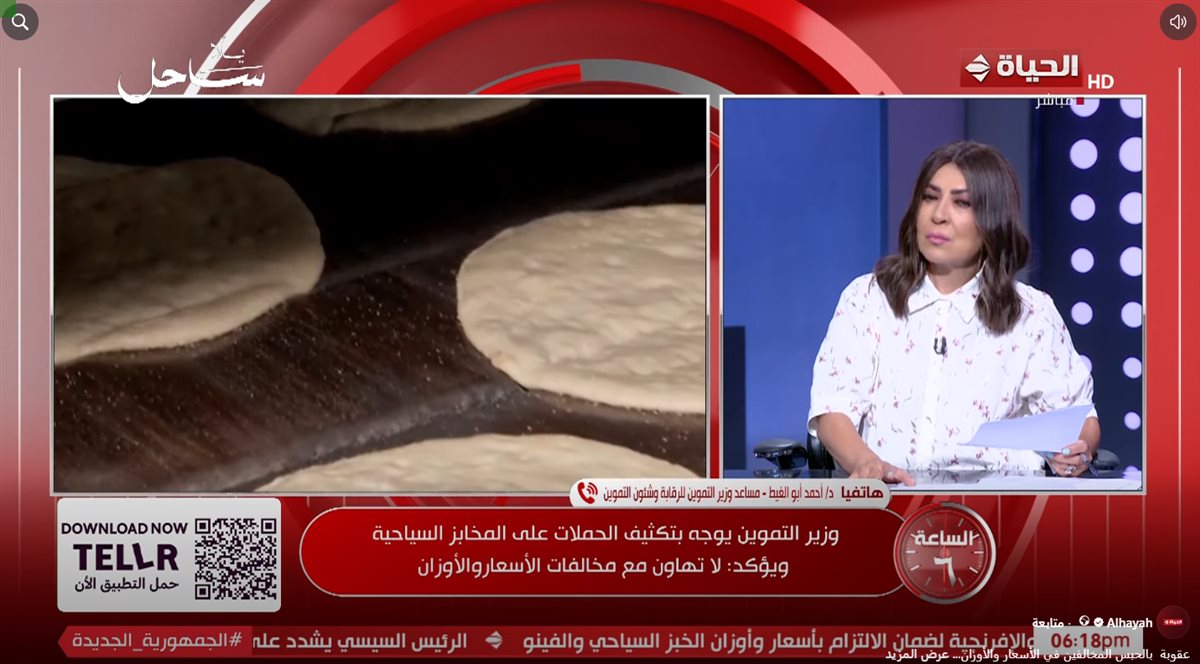 الدكتور أحمد أبو الغيط