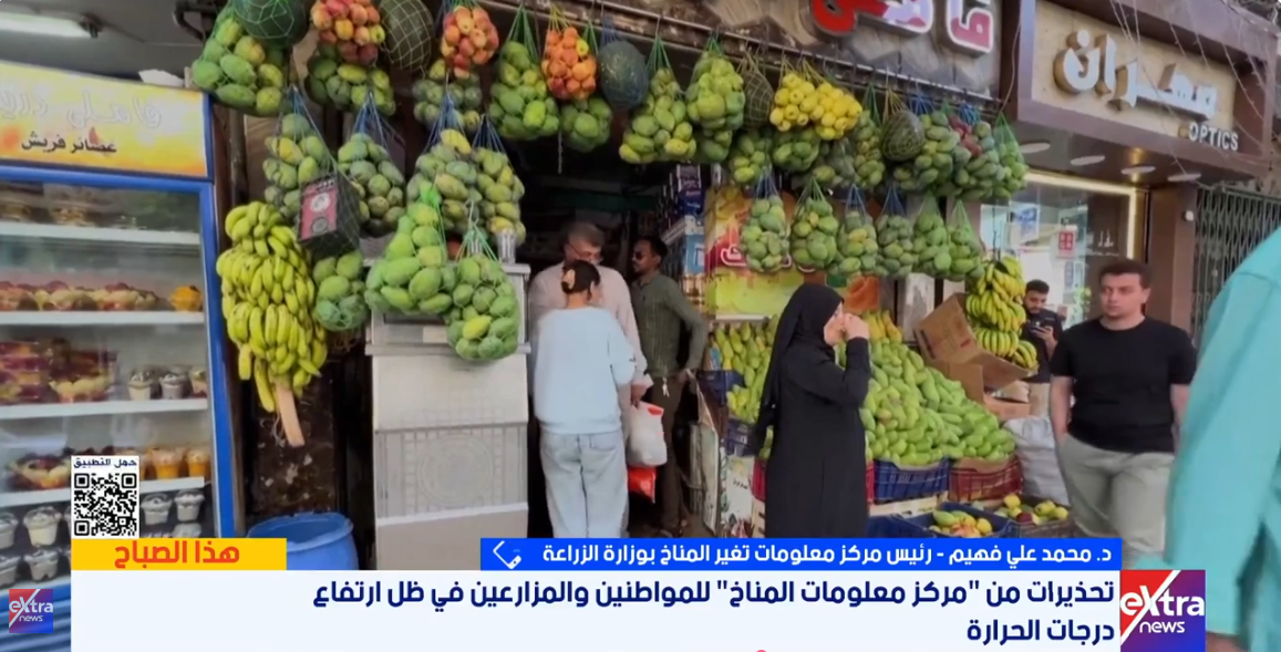 الدكتور محمد علي فهيم