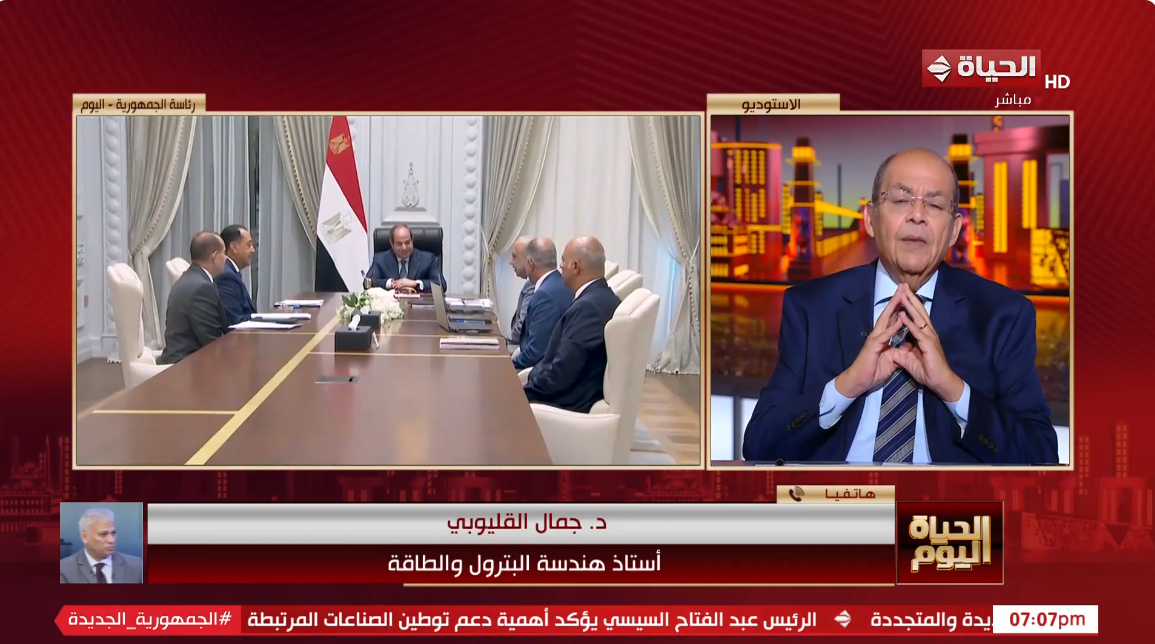 الدكتور جمال القليوبي