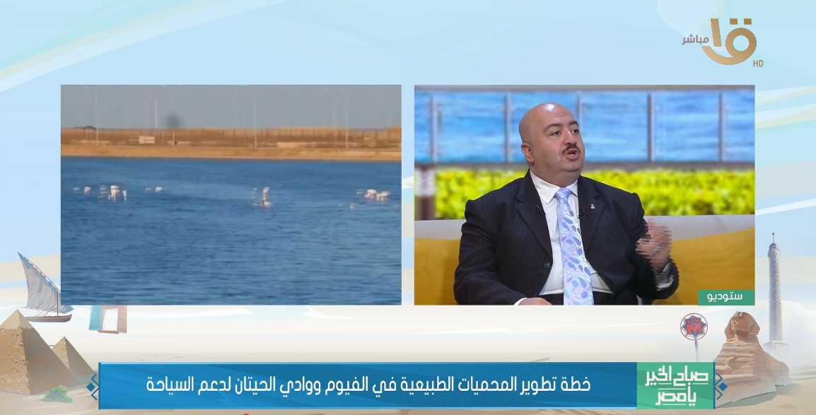 عمرو هيبة