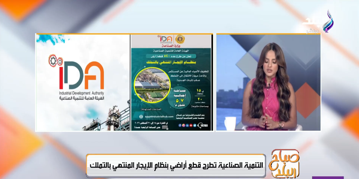 المهندس هاني شحاتة