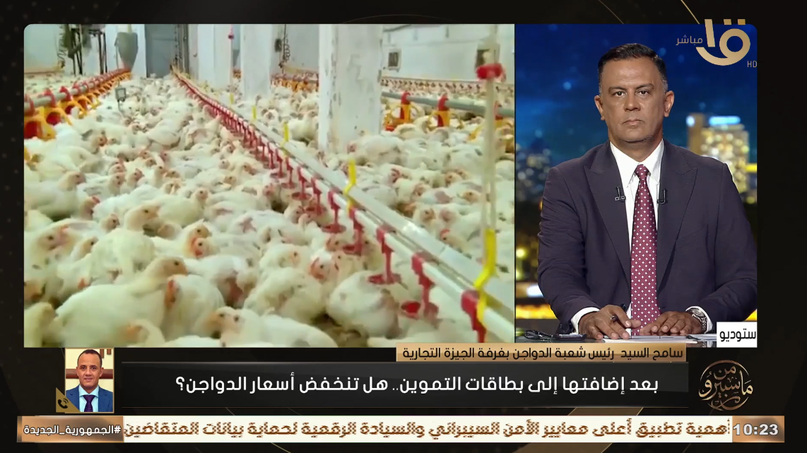 سامح السيد