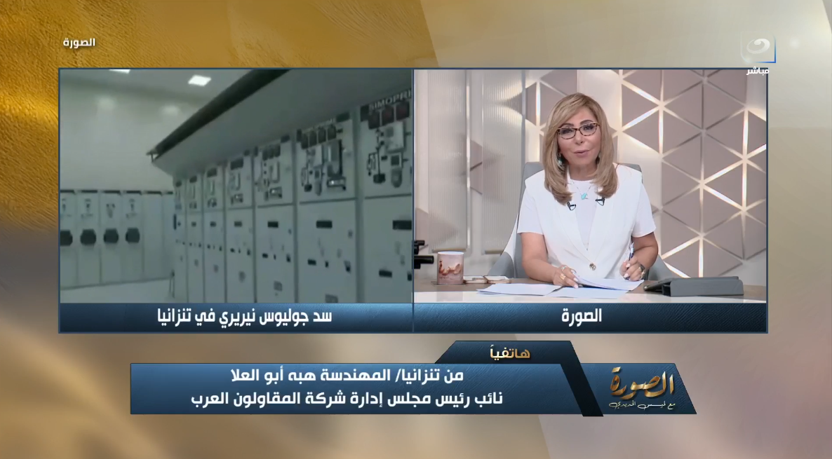 المهندسة هبة أبو العلا
